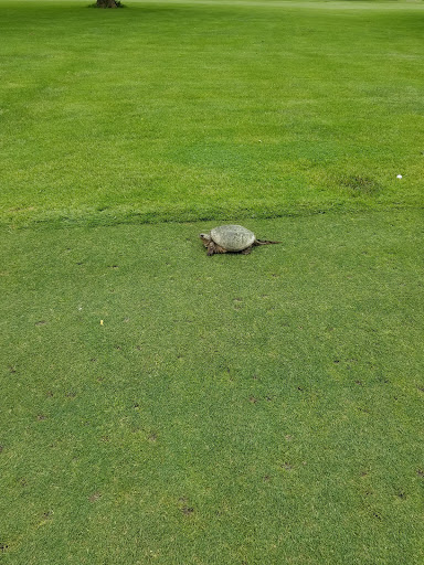 Country Club «Monroe Country Club», reviews and photos, 2205 21st St, Monroe, WI 53566, USA