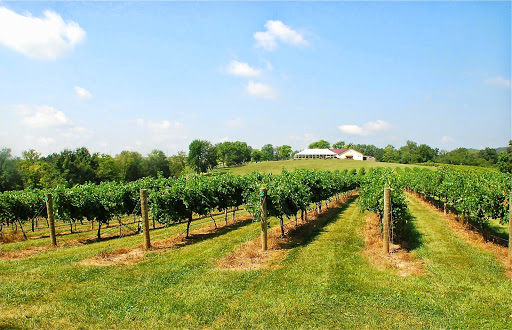 Vineyard «Noboleis Vineyards», reviews and photos, 100 Hemsath Rd, Augusta, MO 63332, USA