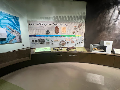 Museum «Delaware Museum of Natural History», reviews and photos, 4840 Kennett Pike, Wilmington, DE 19807, USA