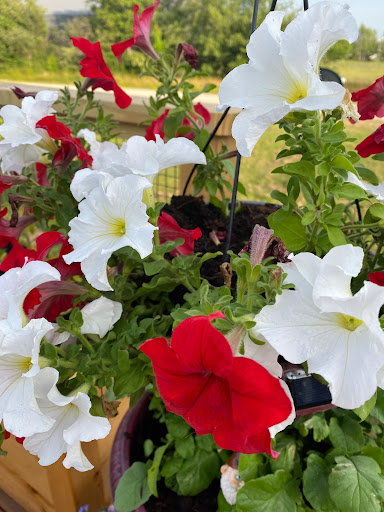 Home Improvement Store «The Home Depot», reviews and photos, 56 Myrick St, Ellsworth, ME 04605, USA