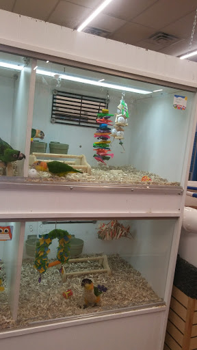 Pet Store «Fins Feathers Paws Claws», reviews and photos, 201 Station Rd, Quakertown, PA 18951, USA