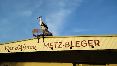 SASU METZ-BLEGER à Saint-Hippolyte