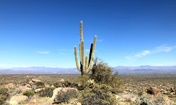 McDowell Mountain Regional Park