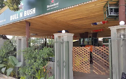 Bull N Bush Tz Restaurant and Pub image
