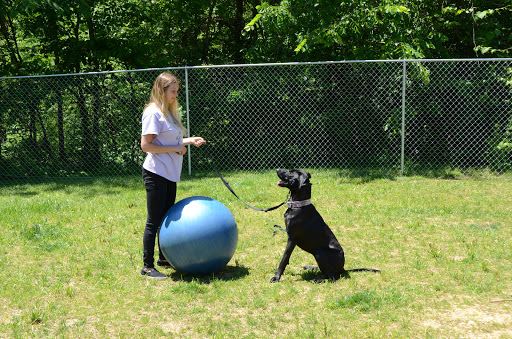 Dog Trainer «Mad 4 My Dog», reviews and photos, 702 E Temperance St, Ellettsville, IN 47429, USA