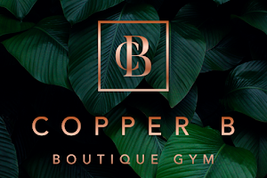 COPPER B Boutique Gym | ehem. FUNCTIONAL UNION GYM image