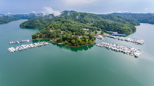 Mitchell Creek Marina, 1260 Livingston Boat Dock Rd, Allons, TN 38541, USA, 