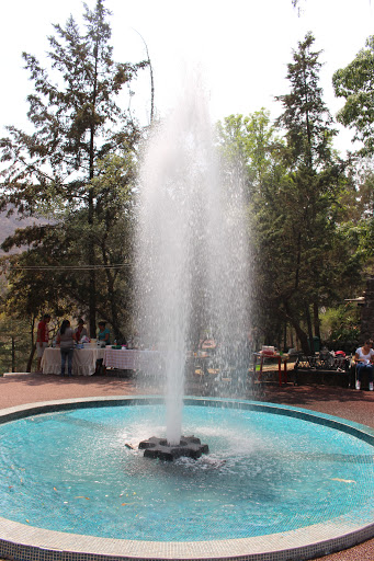 Parque de los Ciervos