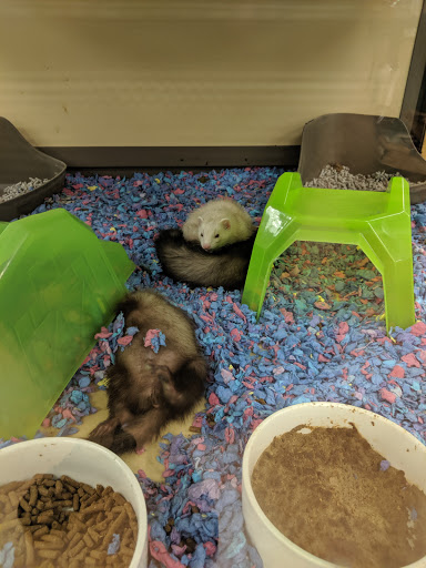 Pet Supply Store «Petco Animal Supplies», reviews and photos, 7434 Little River Turnpike, Annandale, VA 22003, USA