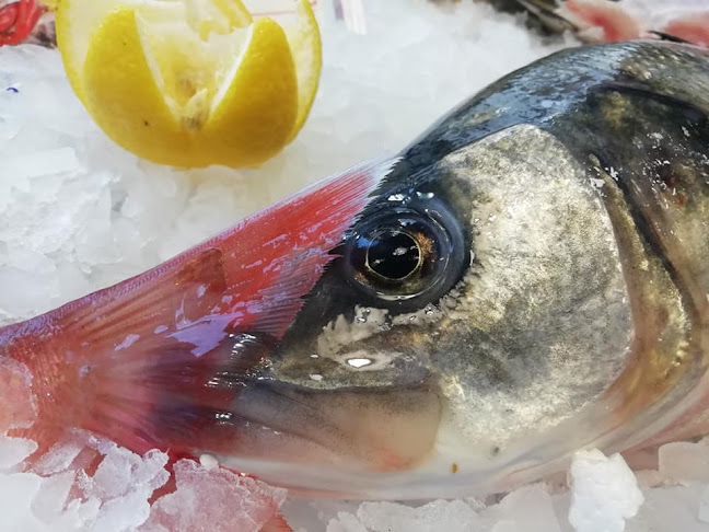 Γοργόνα - Gorgona - Πειραιάς