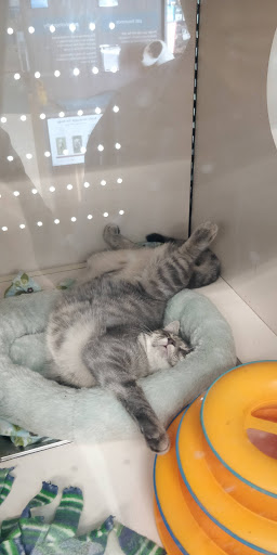 Pet Supply Store «Petco Animal Supplies», reviews and photos, 7811 Alexander Promenade PI, Raleigh, NC 27617, USA