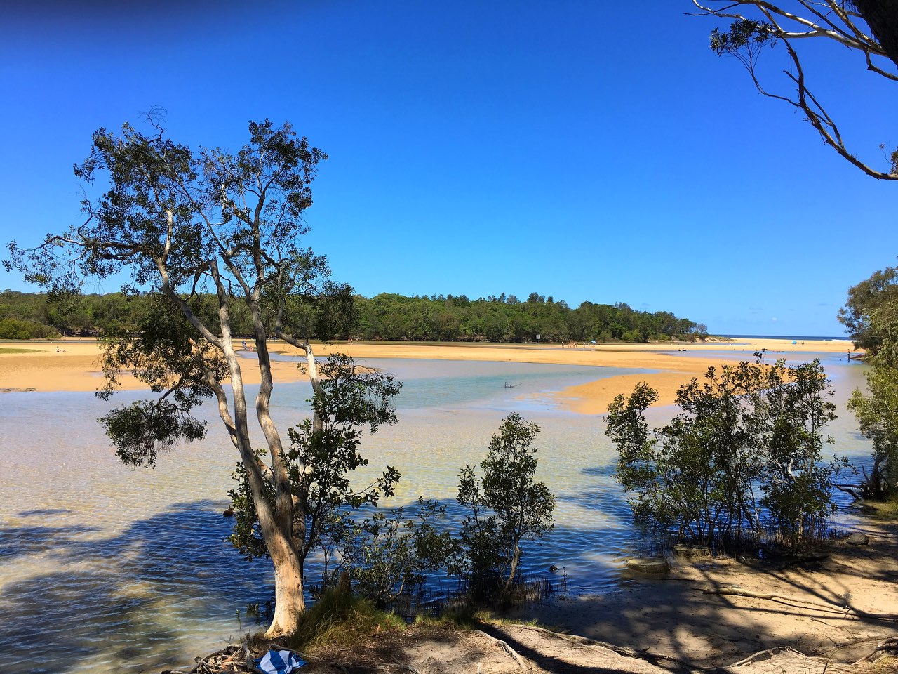 Moonee Beach'in fotoğrafı çok temiz temizlik seviyesi ile