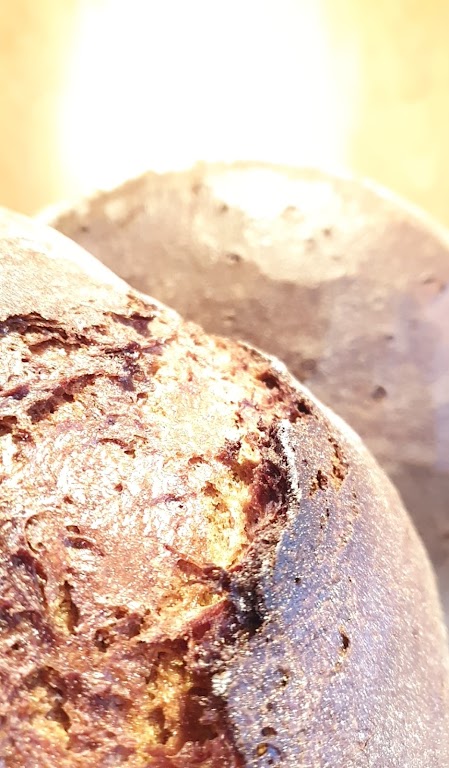 Wilhelmis Brotkorb GmbH