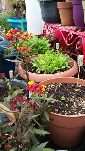 Book Store «Pipe & Thimble Bookstore», reviews and photos, 24830 Narbonne Ave, Lomita, CA 90717, USA