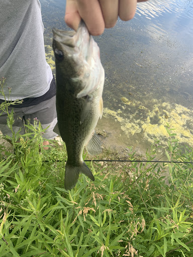 Pet Supply Store «Pet Supplies Plus», reviews and photos, 50623 Valley Plaza Dr, St Clairsville, OH 43950, USA