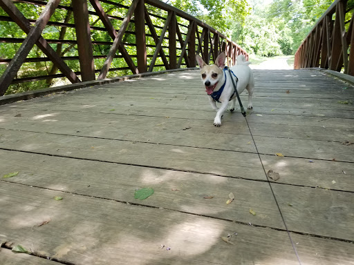 Park «Clarence Foster Park», reviews and photos, 4400 Woodland Park Blvd, Arlington, TX 76013, USA