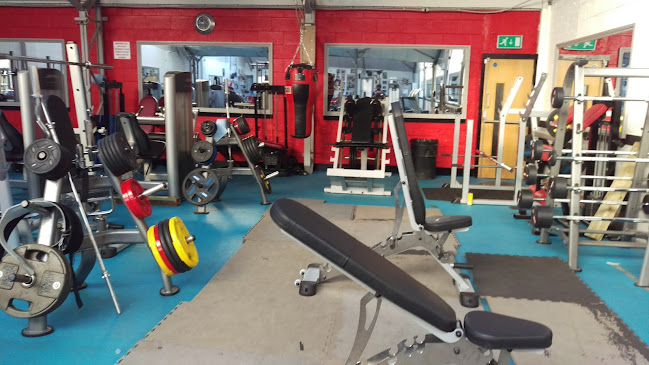 Comments and reviews of Colossus gym