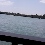 Photo n° 7 de l'avis de cecile.a fait le 26/06/2017 à 14:59 pour Aux Coquillages de Diana à Aléria