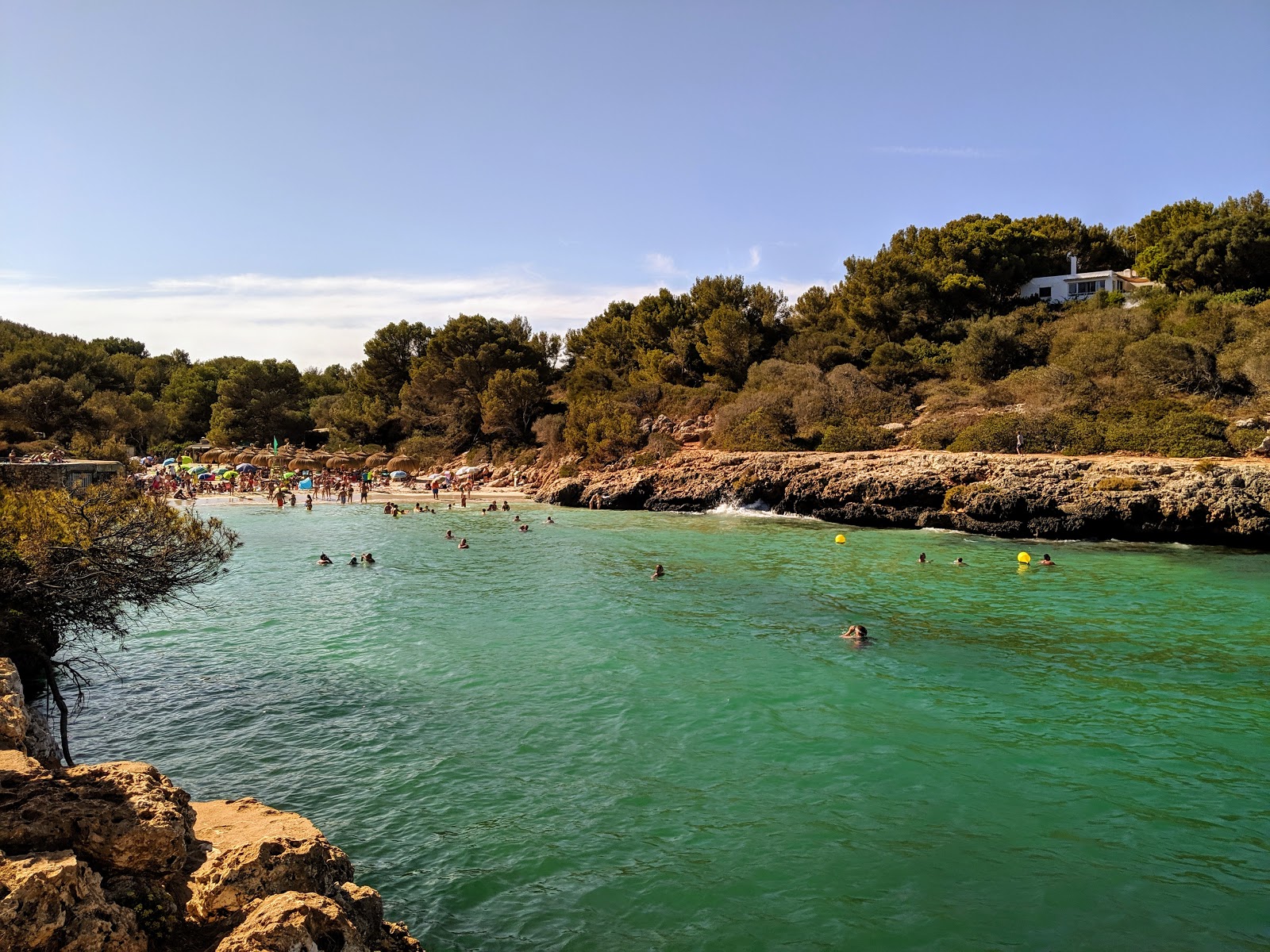 Cala Sa Nau photo #7