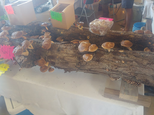 Fairground «Conservatory at the Sussex County Fairgrounds», reviews and photos, 37 Plains Rd, Augusta, NJ 07822, USA