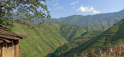 Top 20 cửa hàng bio baby Huyện Trạm Tấu Yên Bái 2022