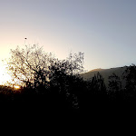 Photo n° 3 de l'avis de Tamas.y fait le 19/10/2022 à 19:48 pour Villa Chênes-Pierres à Mollans-sur-Ouvèze