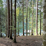 Photo n°4 de l'avis de Uwe.a fait le 14/09/2022 à 18:52 sur le  Restaurant Freibergsee à Oberstdorf