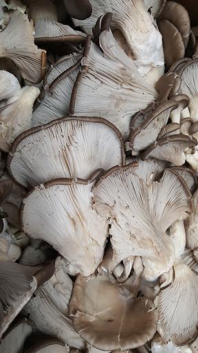 Asian Grocery Store «Asia Grocery Store», reviews and photos, 880 Peters Creek Pkwy, Winston-Salem, NC 27103, USA