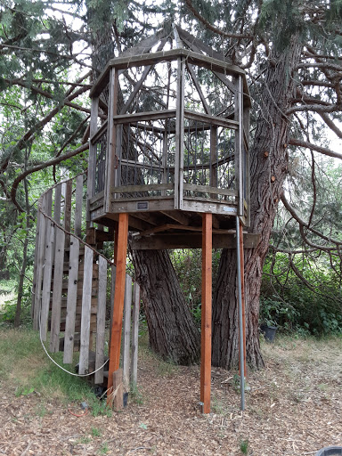 Coffee Shop «Mountain Sage», reviews and photos, 18653 Main St, Groveland, CA 95321, USA