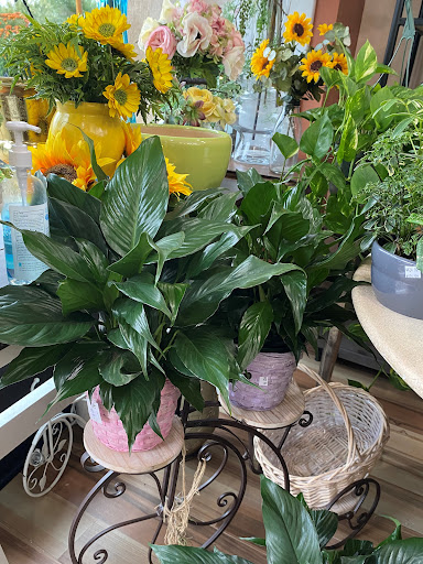 Florist «Sunset Florist», reviews and photos, 470 Bergen Blvd, Ridgefield, NJ 07657, USA