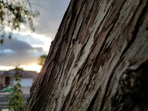 Park «Woodglen Meadows Park», reviews and photos, 12602 Bellaire St, Thornton, CO 80241, USA