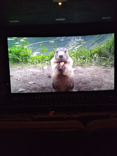 Movie Theater «AMC Orange Park 24», reviews and photos, 1910 Wells Rd, Orange Park, FL 32073, USA