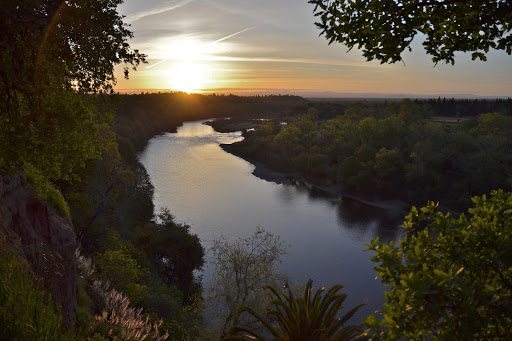 Save the American River Association