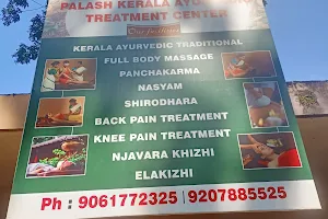 Palash Kerela Ayurvedic Treatment Centre image