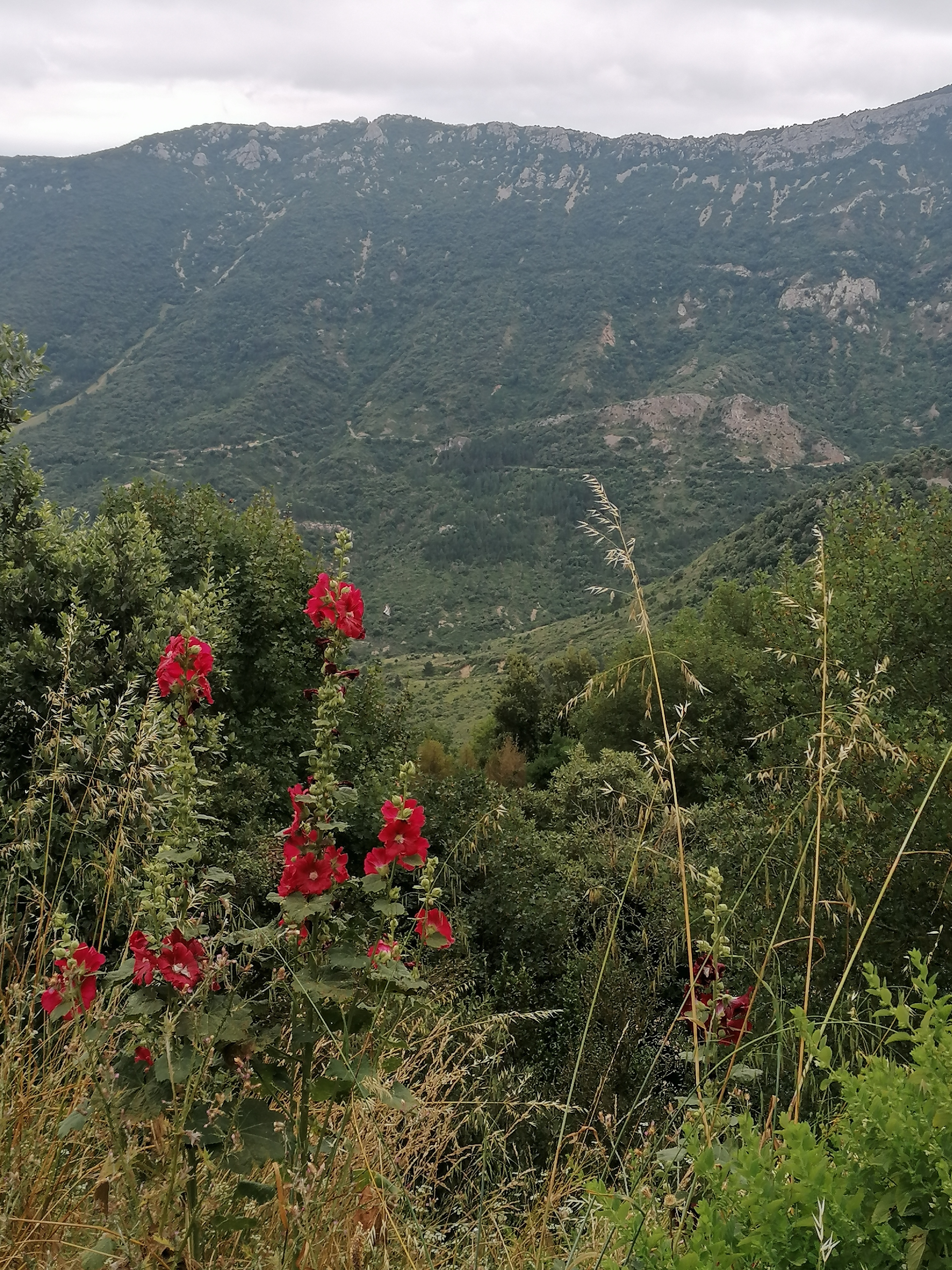 Photo n° 1 de l'avis de Yannick.r fait le 02/07/2020 à 15:01