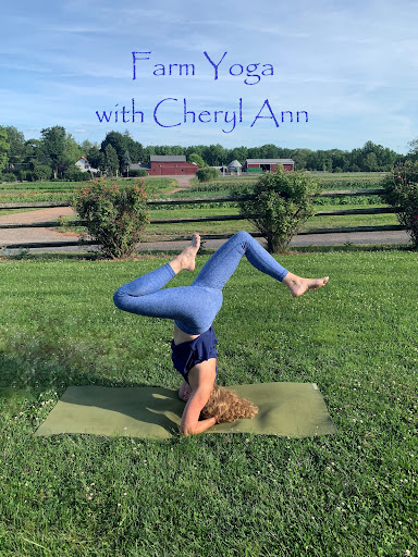 Florist «Cheryl Ann Floral Design Weddings & Events», reviews and photos, 1204 Wells St, Conshohocken, PA 19428, USA