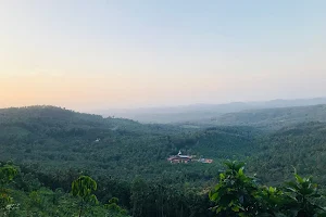 Panthalloor Hills View Point image