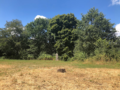 Doigt de César (Soucelles) à Rives-du-Loir-en-Anjou