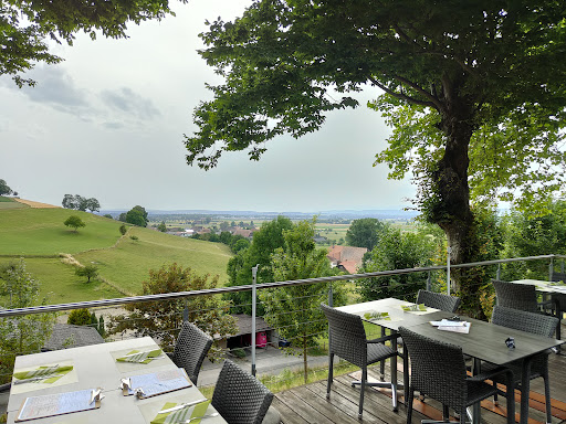 site_photo3