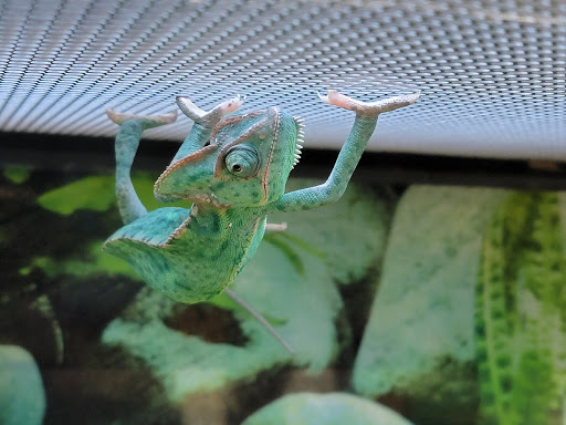 Pet Supply Store «Petco Animal Supplies», reviews and photos, 825 Hartford Turnpike, Waterford, CT 06385, USA