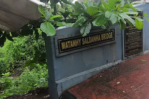 Matanhy Saldanha Bridge माथानी साल्डाना पाटो image