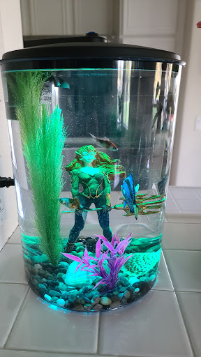 Pet Supply Store «PetSmart», reviews and photos, 30515 Av. de Las Flores, Rancho Santa Margarita, CA 92688, USA