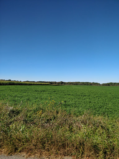 Golf Course «Hidden Acres Executive Golf», reviews and photos, 6269 Perry Warsaw Rd, Perry, NY 14530, USA