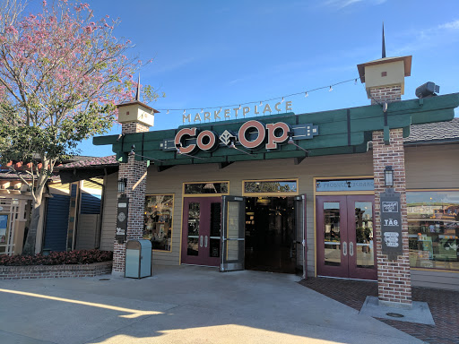 Marketplace Co-Op - Disney Centerpiece