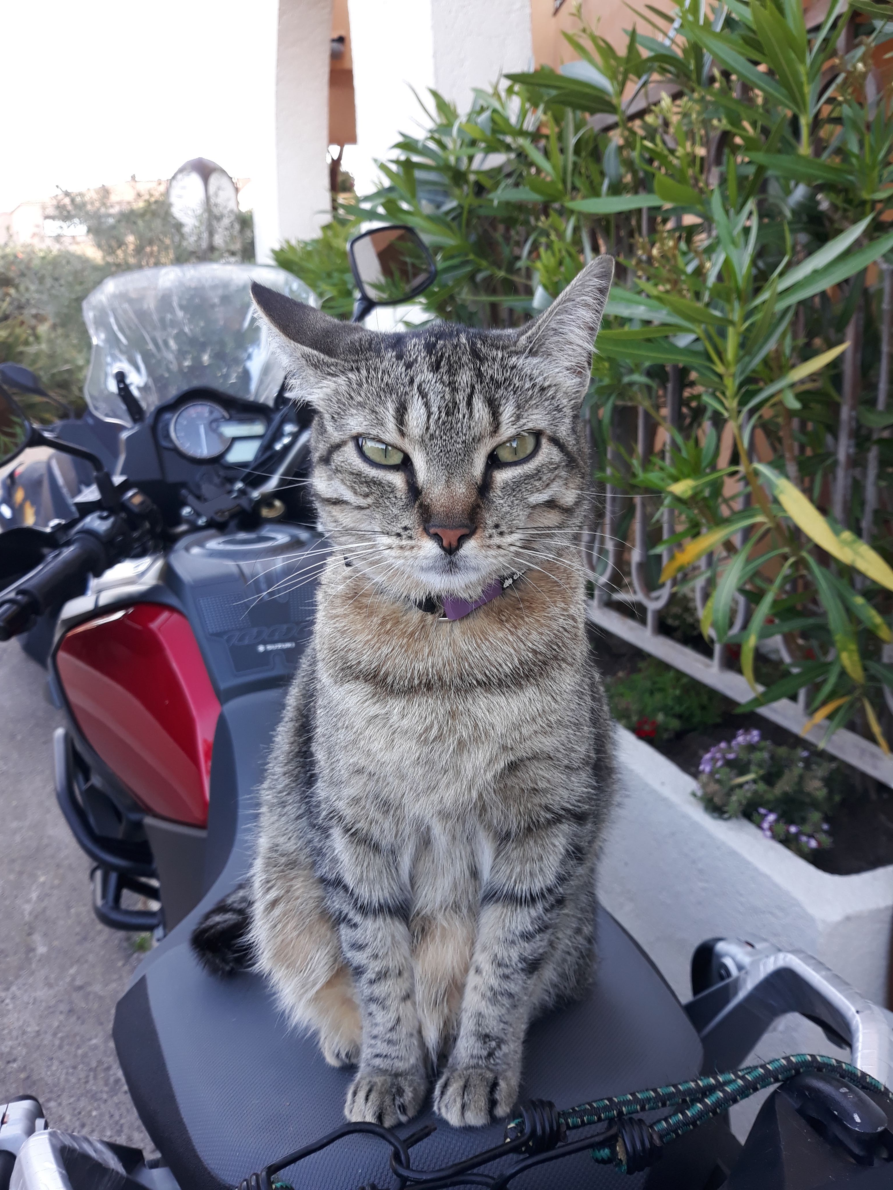 Photo n° 11 de l'avis de Gerald.o fait le 05/06/2019 à 15:33
