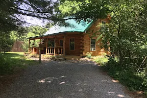 Cabins at Cook Forest image
