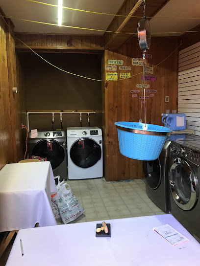 the bubble laundry