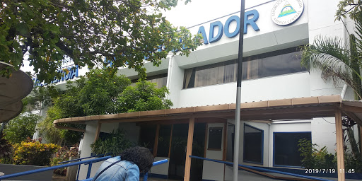 Instituto Nicaragüense de Energía