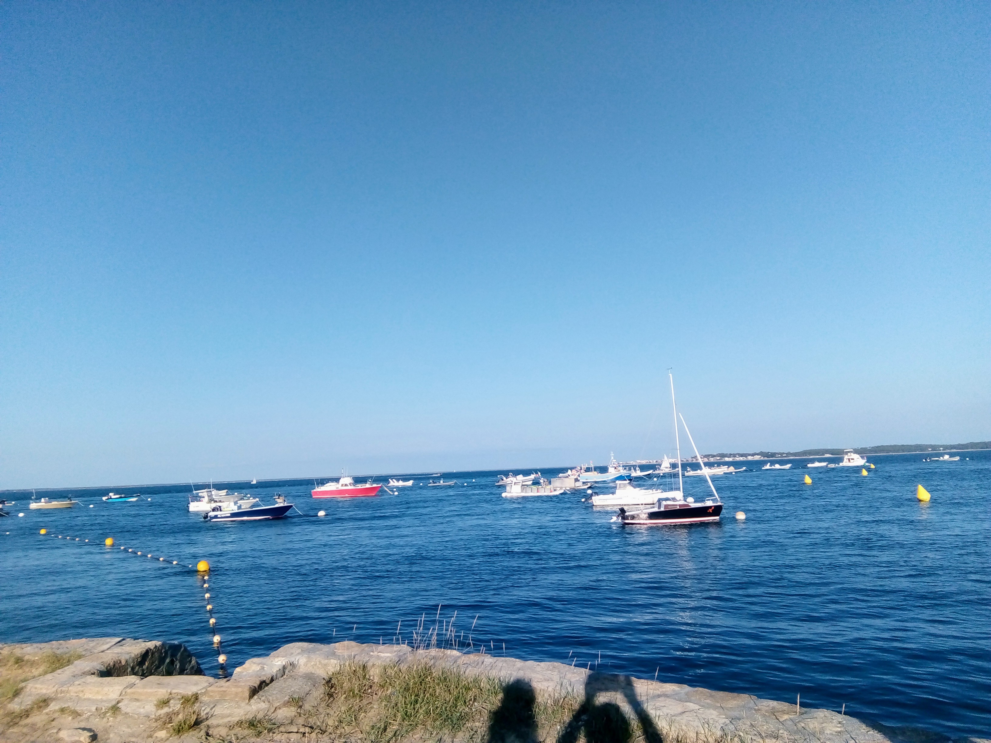 Photo n° 1 de l'avis de Zora.r fait le 11/08/2019 à 11:27