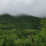 Photo n°9 de l'avis de Tatyana.a fait le 18/05/2021 à 15:27 sur le  THE FARM Tana del Ghiro à Pianella